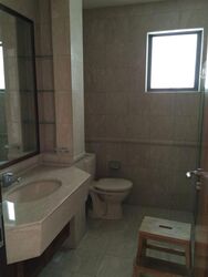 Balestier Road (D12), Apartment #580716811